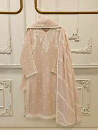 3 Piece - Pure Embroidered Cotton Net Suit S113059