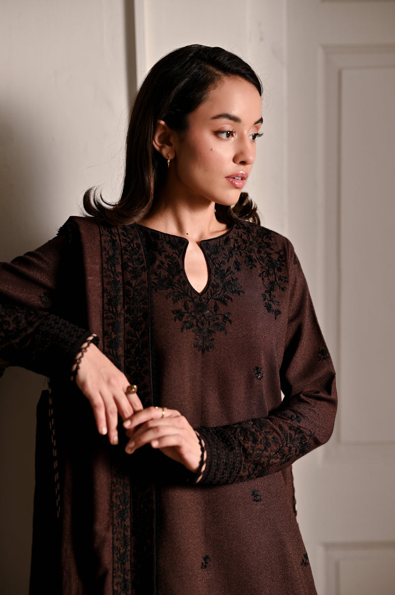 Chocolate Brown Luxury Embroidered Karandi 3Pcs Set (Npa3-25441)-Ready To Wear