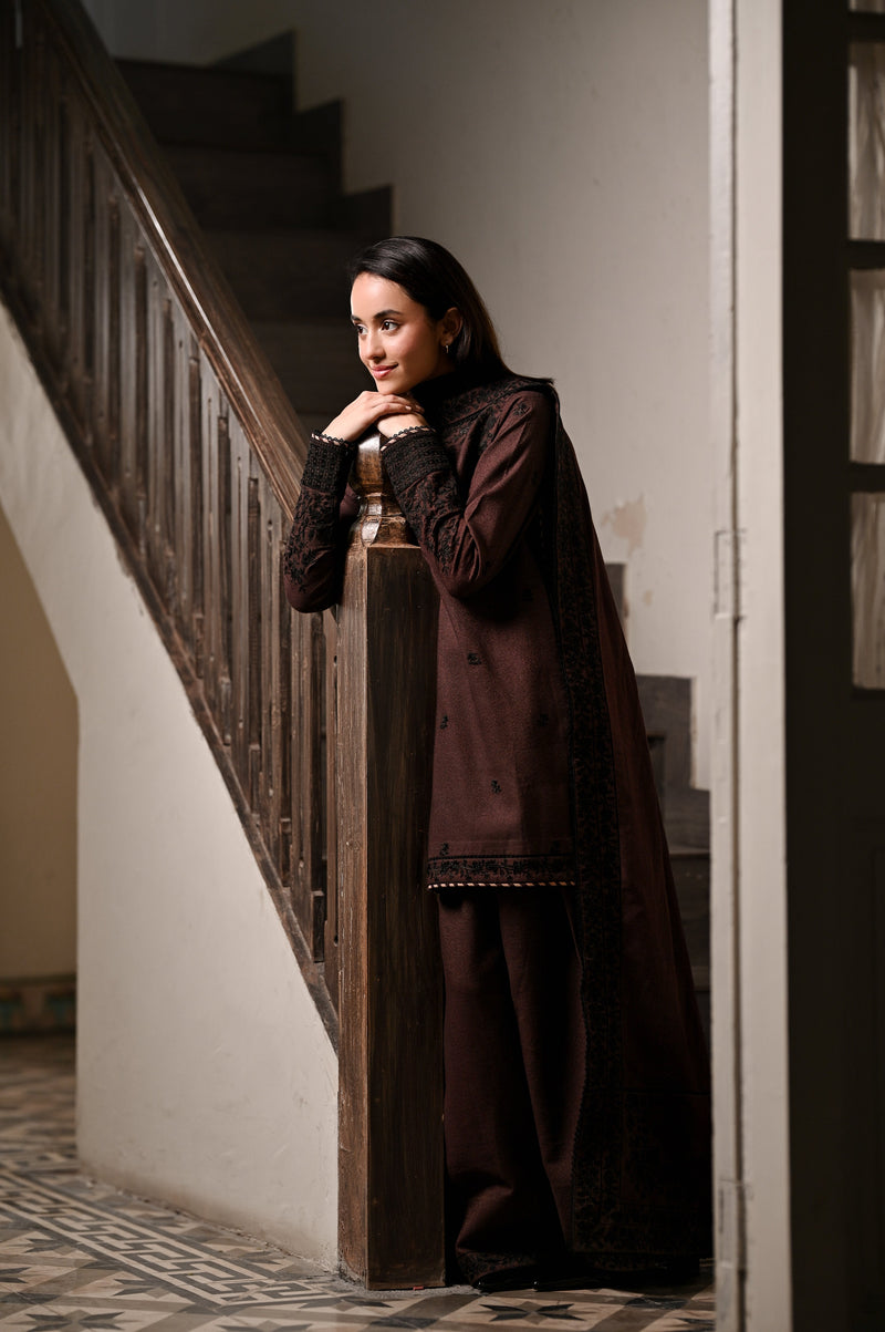 Chocolate Brown Luxury Embroidered Karandi 3Pcs Set (Npa3-25441)-Ready To Wear