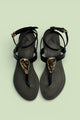 JUNE (ZBN 26007) EID DROP