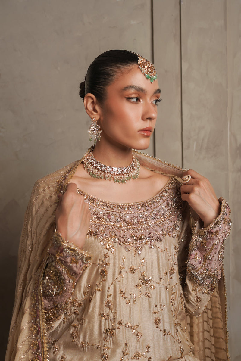 The Classic Beige Zc-004 (Npa3-24448)