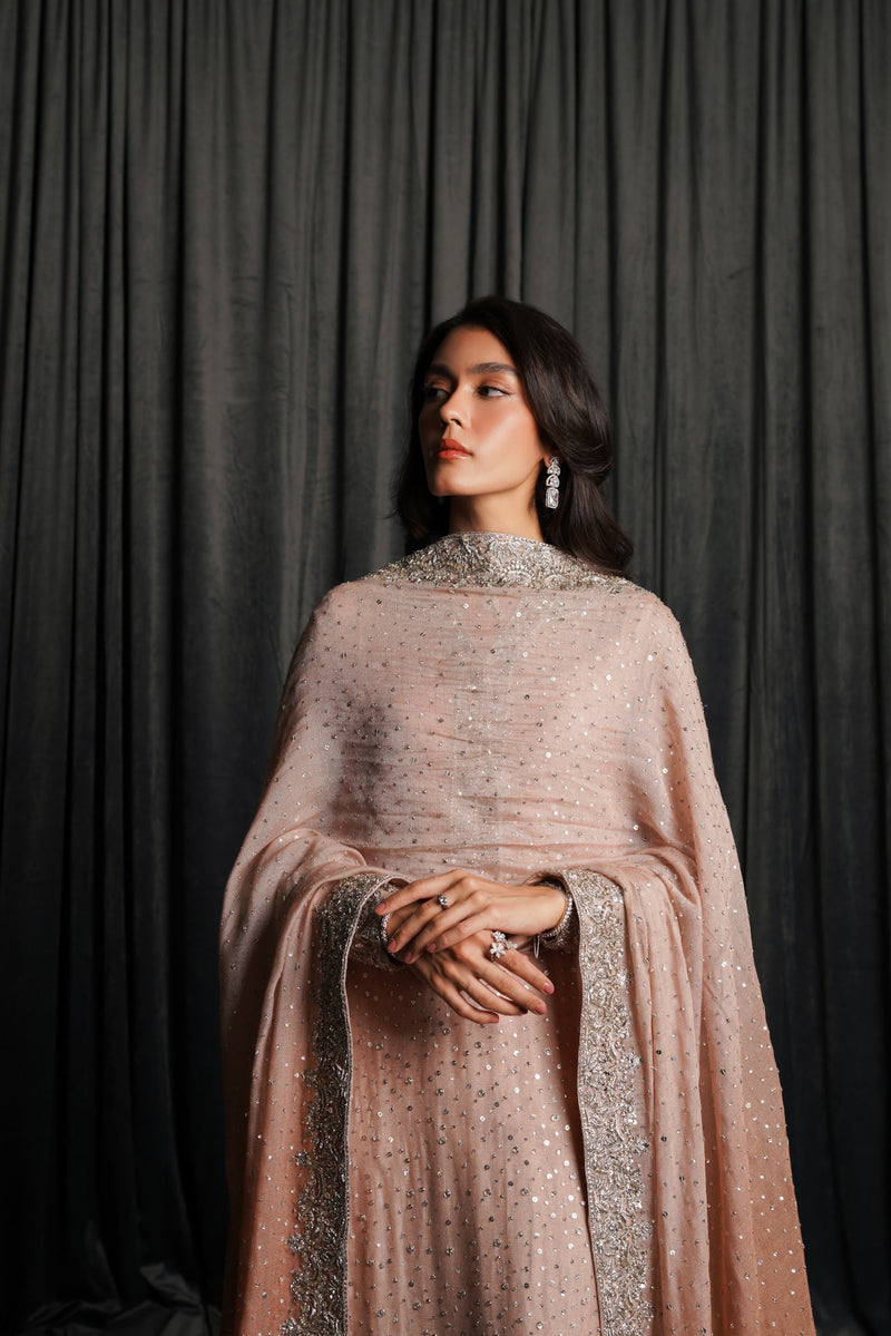 The Ombre Blush Zc-005