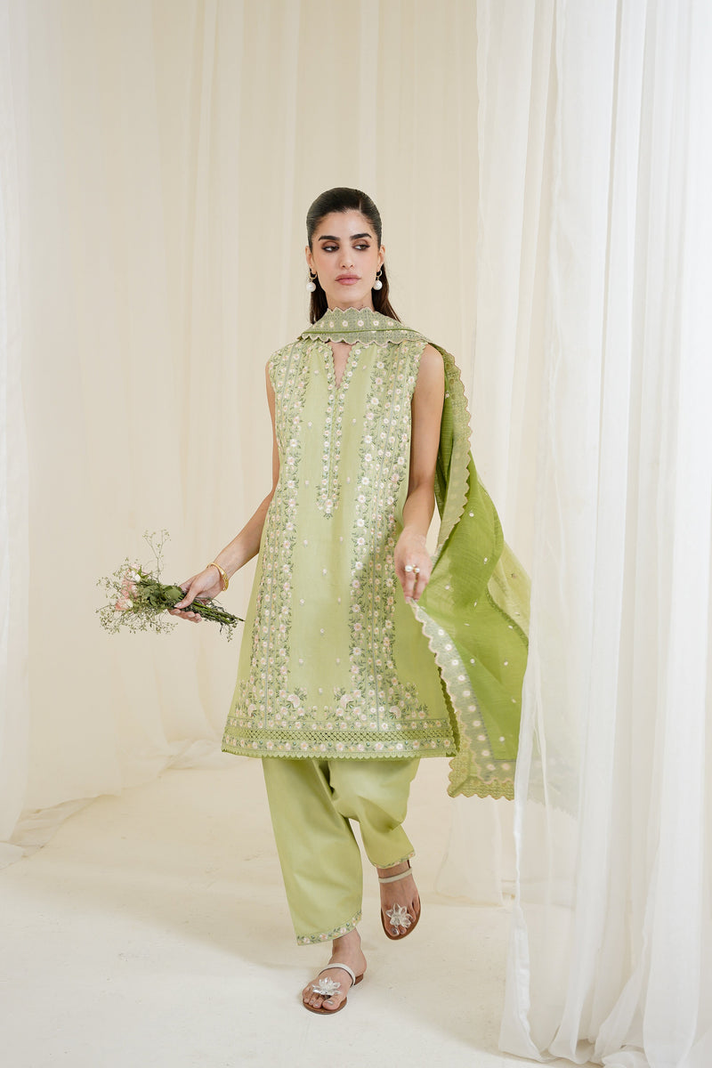 Pistachio Luxury Embroidered 3Pcs Set Npa3-25429 (Ready To Wear) - Express Shipping