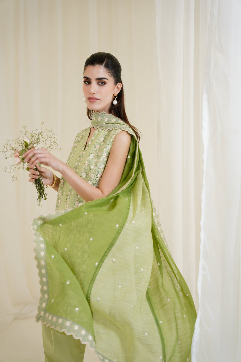 Pistachio Luxury Embroidered 3Pcs Set Npa3-25429 (Ready To Wear) - Express Shipping