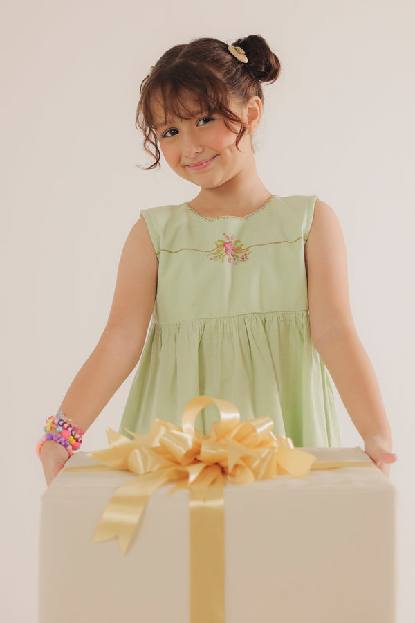 DRESS (E2132/301/715)