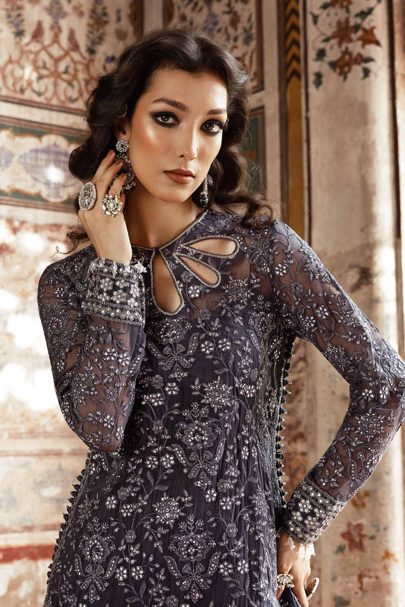 Embroidered Chiffon Fabric (2Pcs) | Lf-919