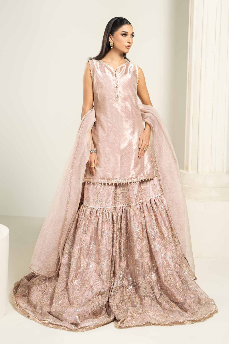 Embroidered Zari Net Fabric (2Pcs) | Lf-727