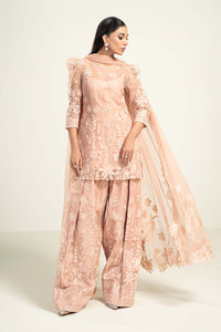 https://cdn.shopify.com/s/files/1/0620/8788/9062/files/LF_710_Peach_Shirt_Front.jpg?v=1726645017