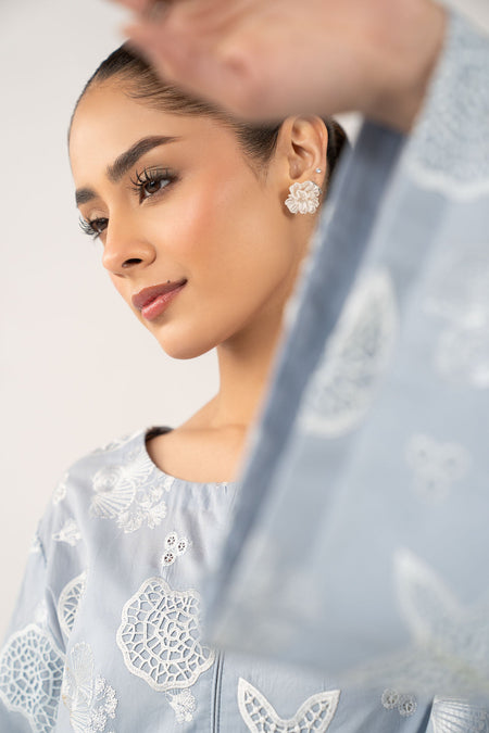 2 Pc Embroidered Lawn Suit