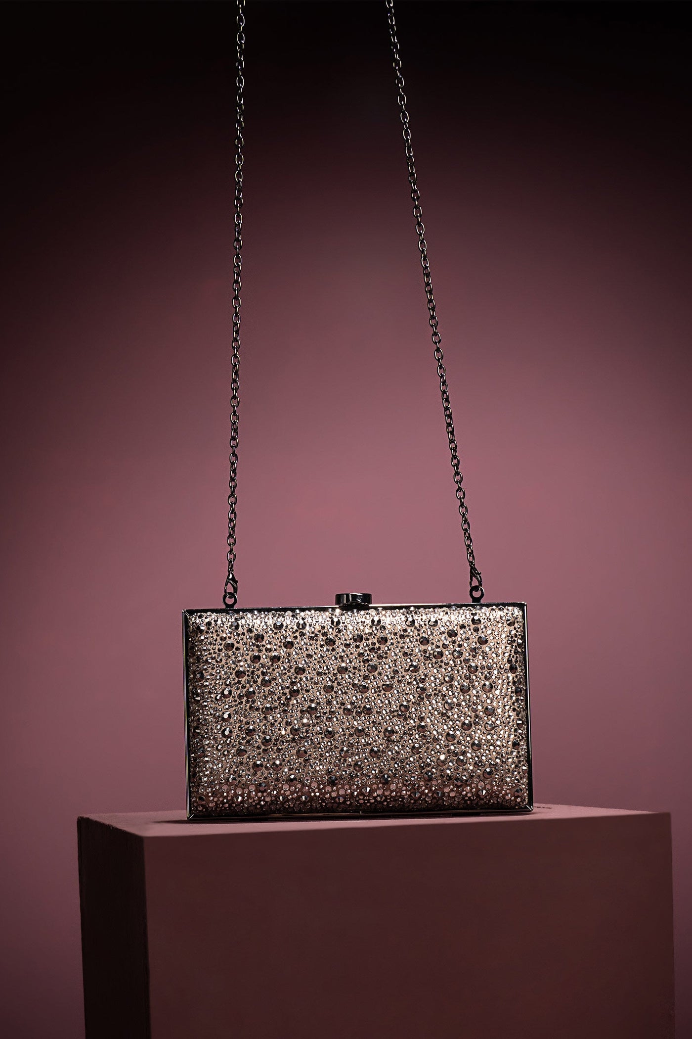 Sparkling Rectangle Clutch