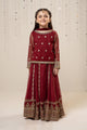 Suit Maroon Mks-W23-35