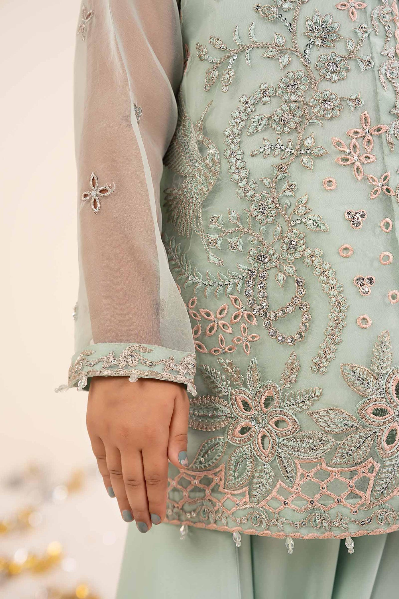 2 Piece Embroidered Organza Suit