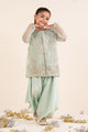 2 Piece Embroidered Organza Suit