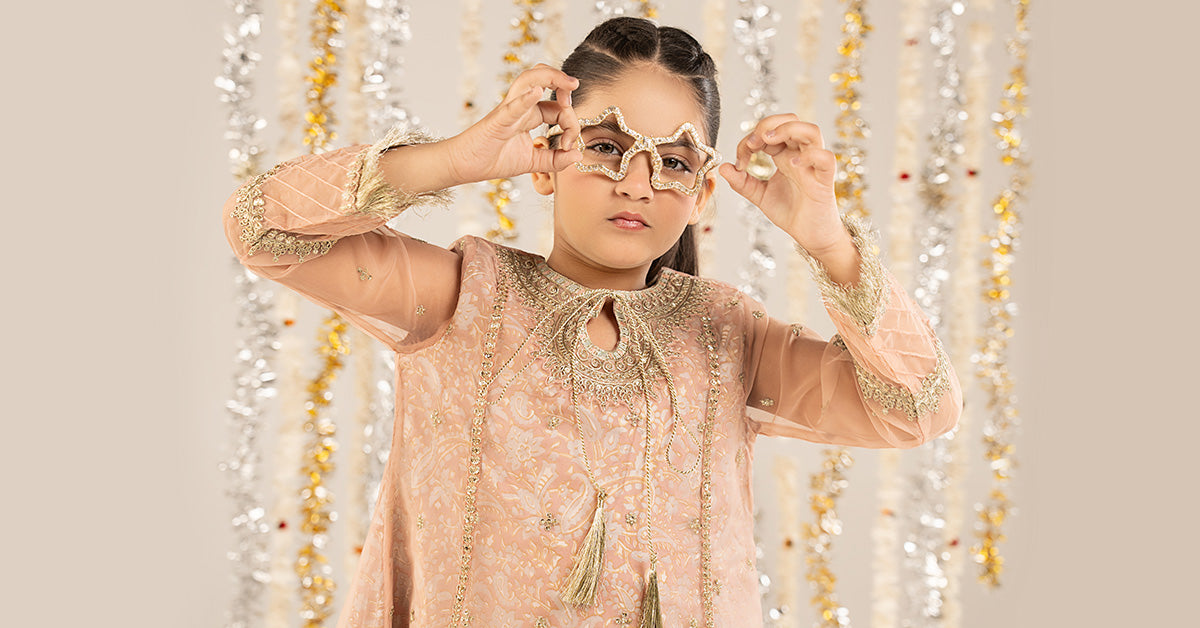 2 Piece Embroidered Organza Suit