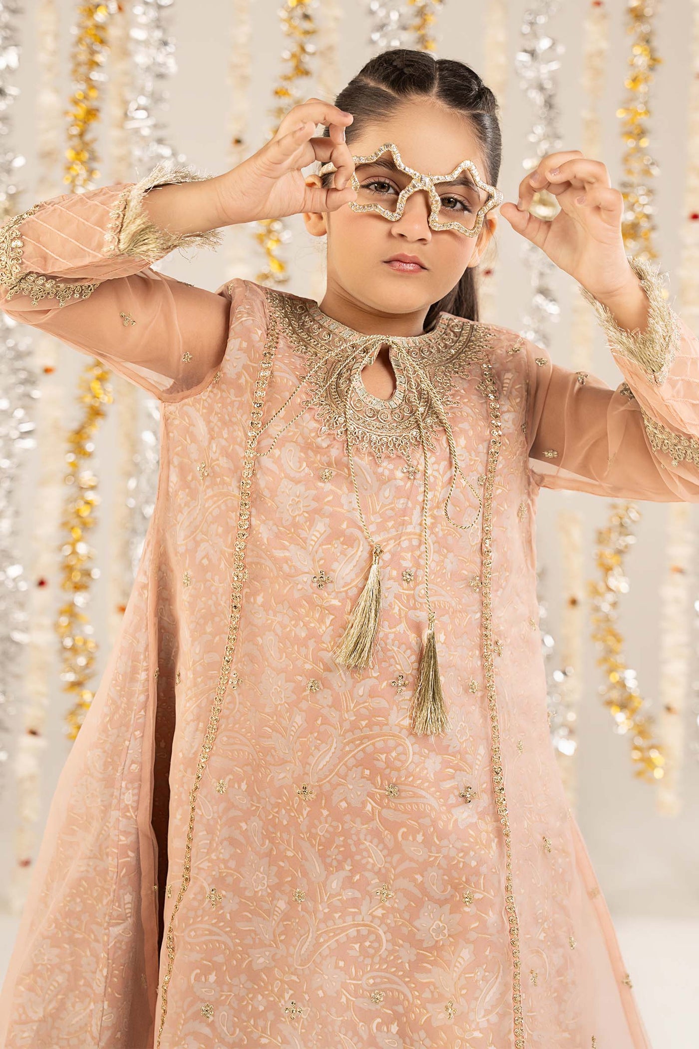 2 Piece Embroidered Organza Suit