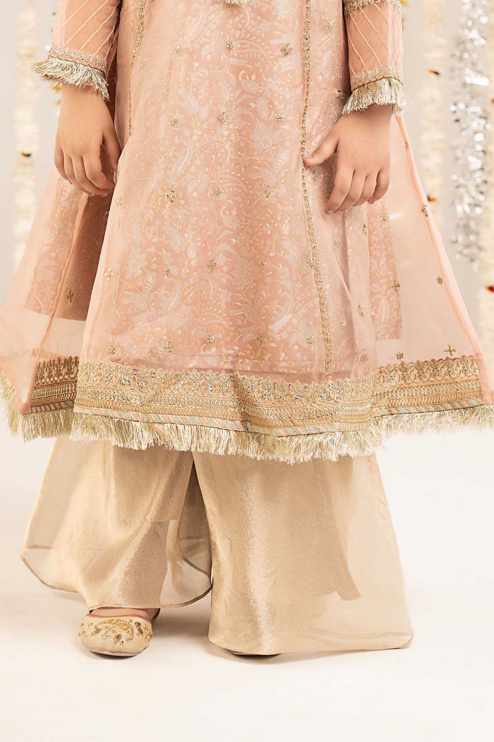 2 Piece Embroidered Organza Suit