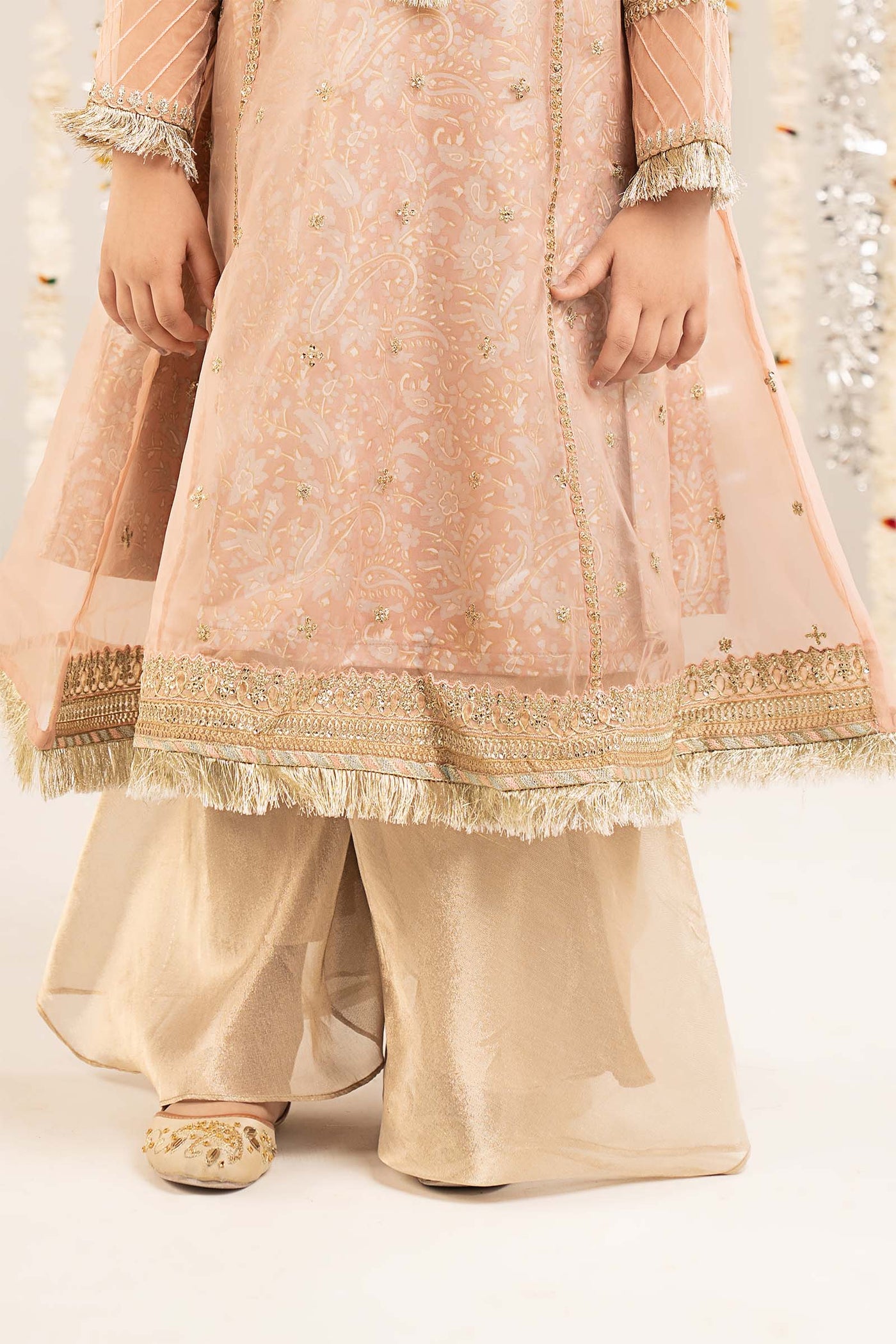 2 Piece Embroidered Organza Suit