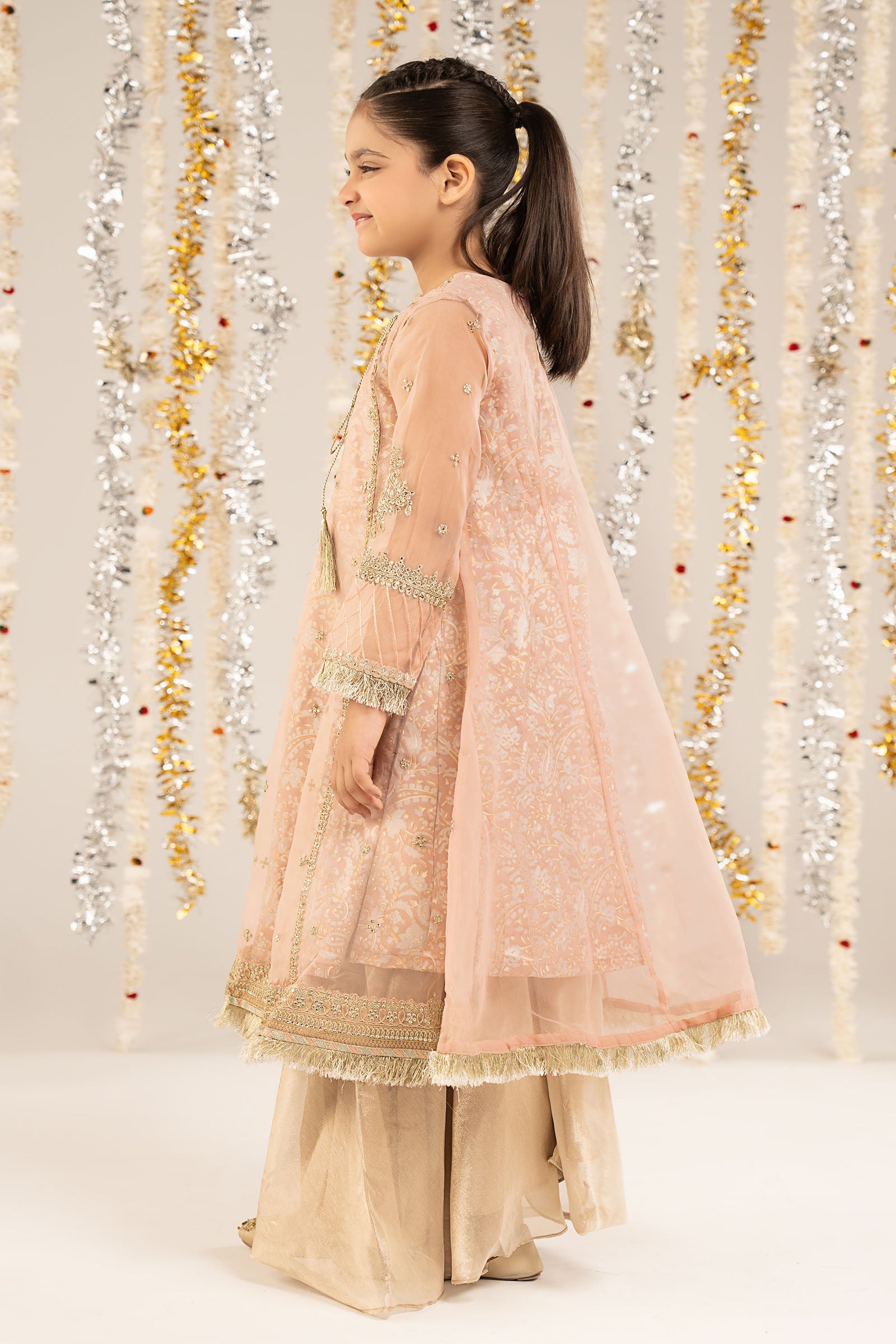 2 Piece Embroidered Organza Suit