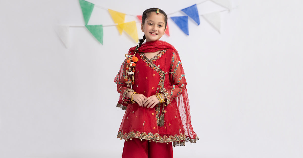 3 Piece Embroidered Organza Suit