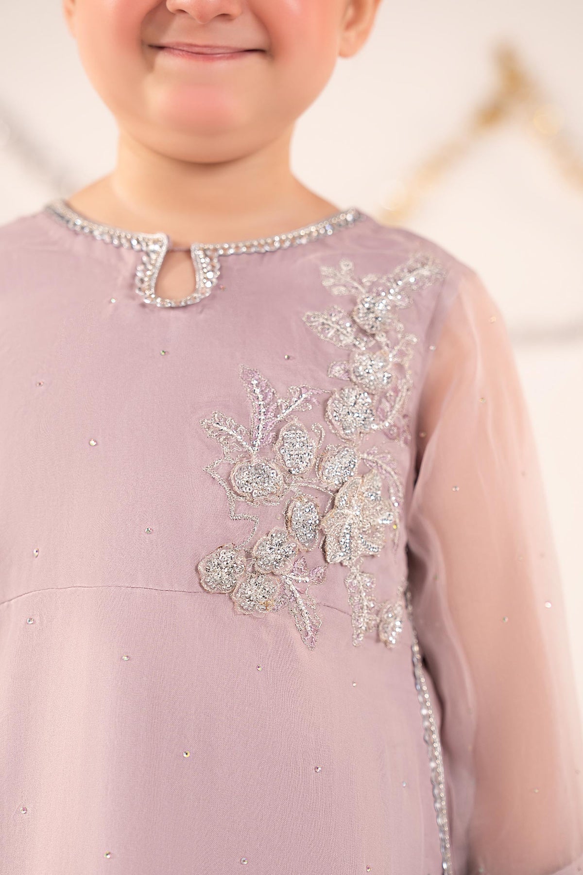 2 Piece Embroidered Organza Suit