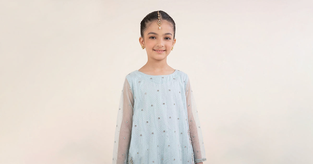 2 Piece Embroidered Organza Suit