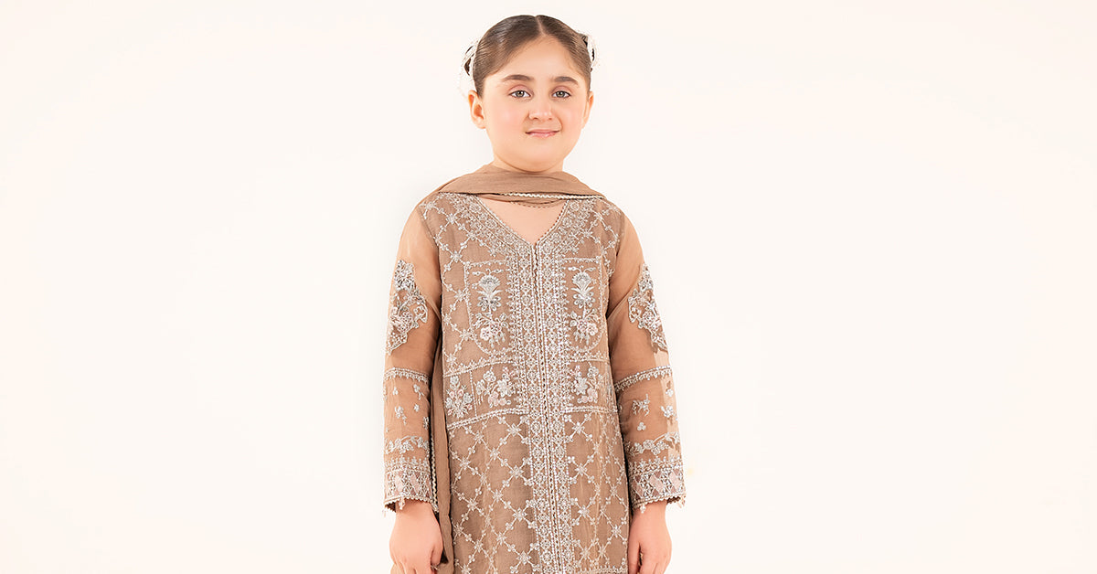 3 Piece Embroidered Organza Suit