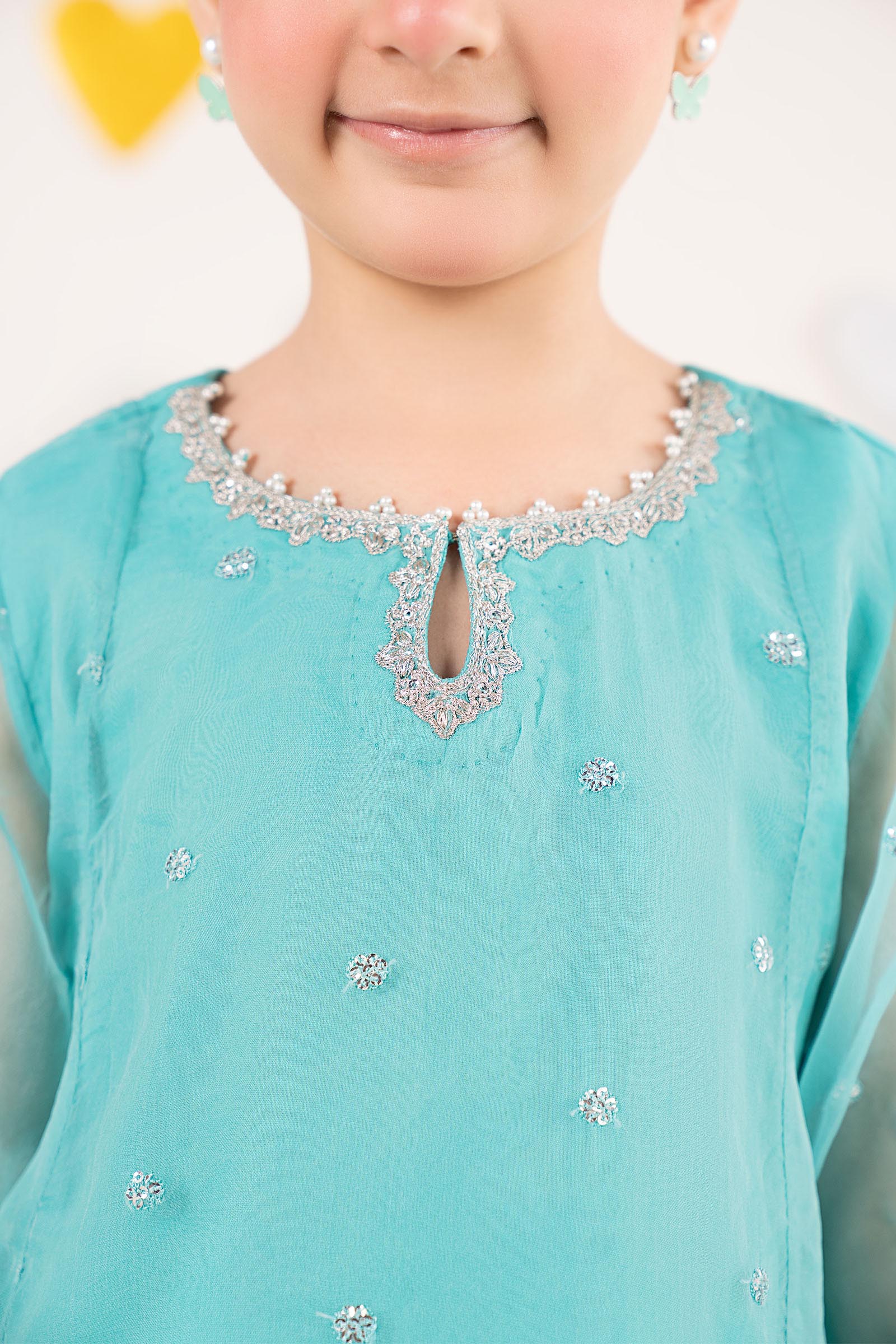 2 Piece Embroidered Organza Suit