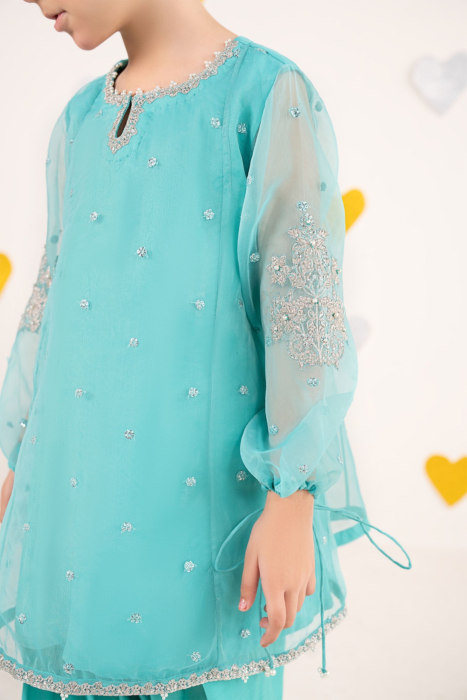 2 Piece Embroidered Organza Suit