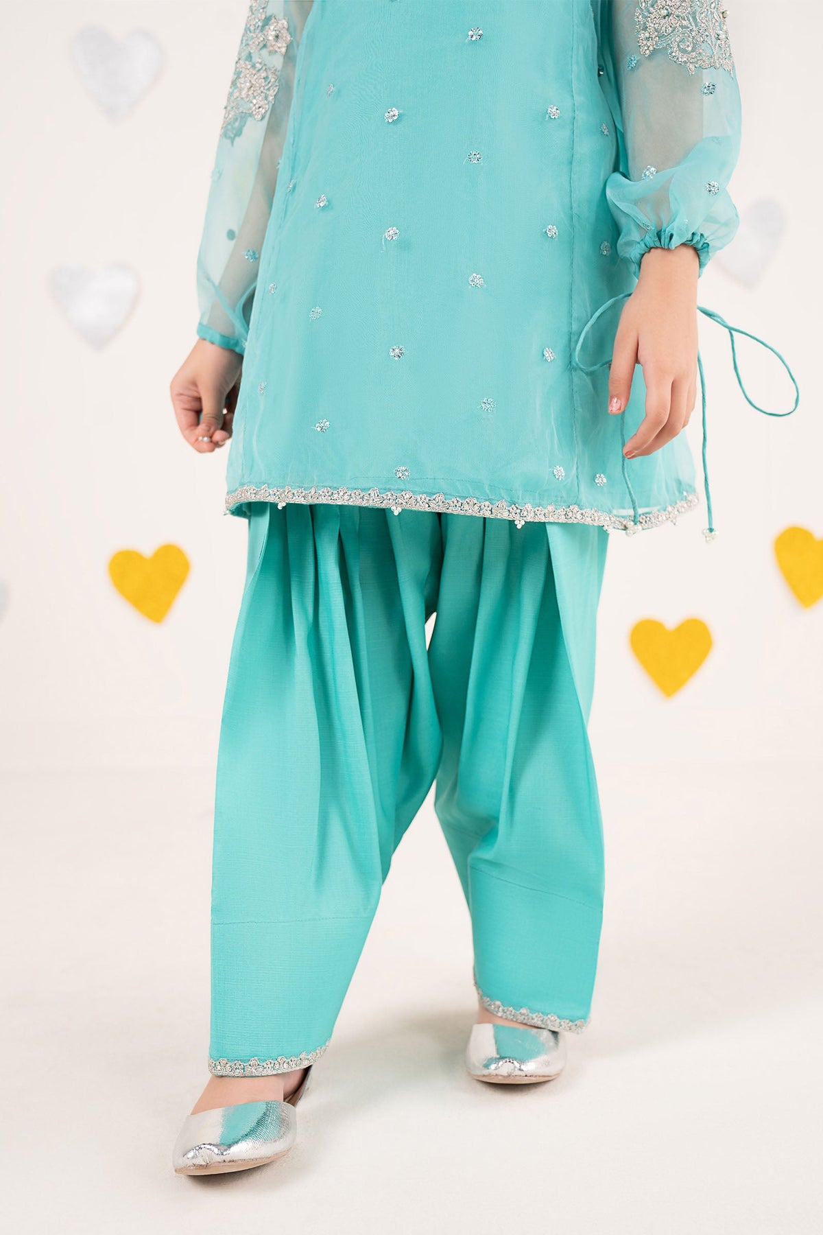 2 Piece Embroidered Organza Suit