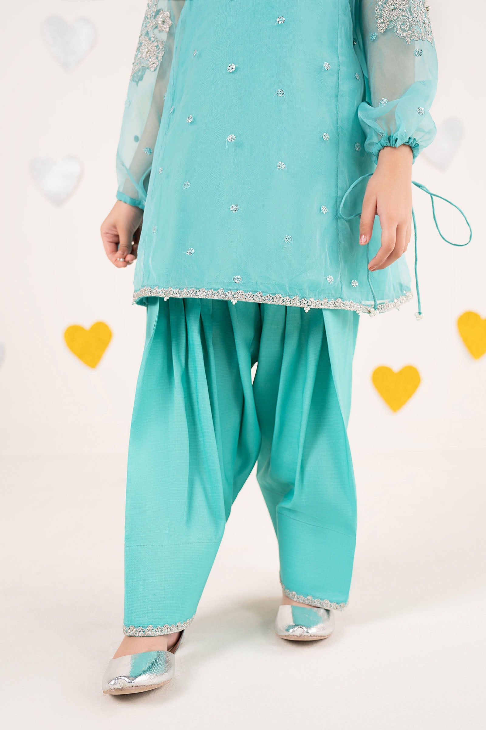 2 Piece Embroidered Organza Suit