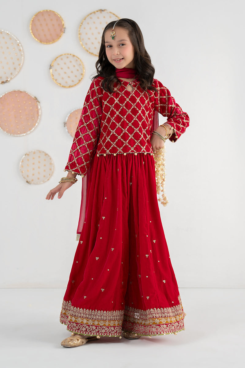 3 Piece Embroidered Velvet Suit