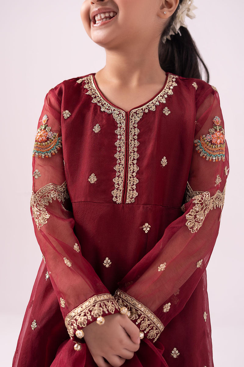 3 Piece Embroidered Organza Suit
