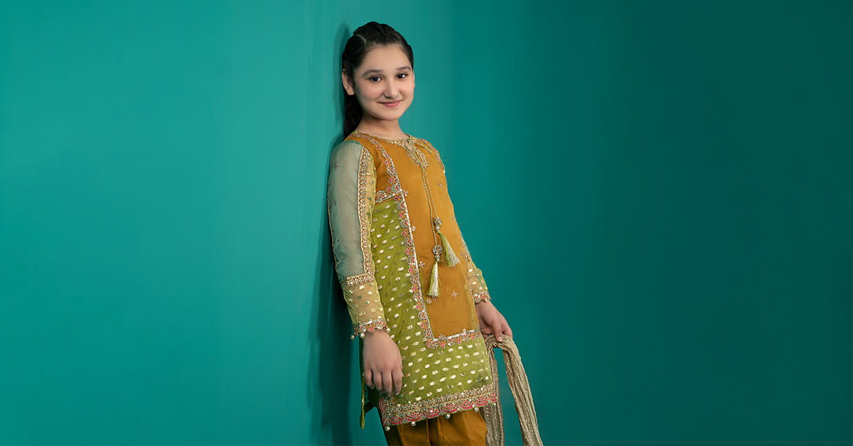 3 Piece Embroidered Organza Suit