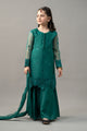 3 Piece Embroidered Organza Suit