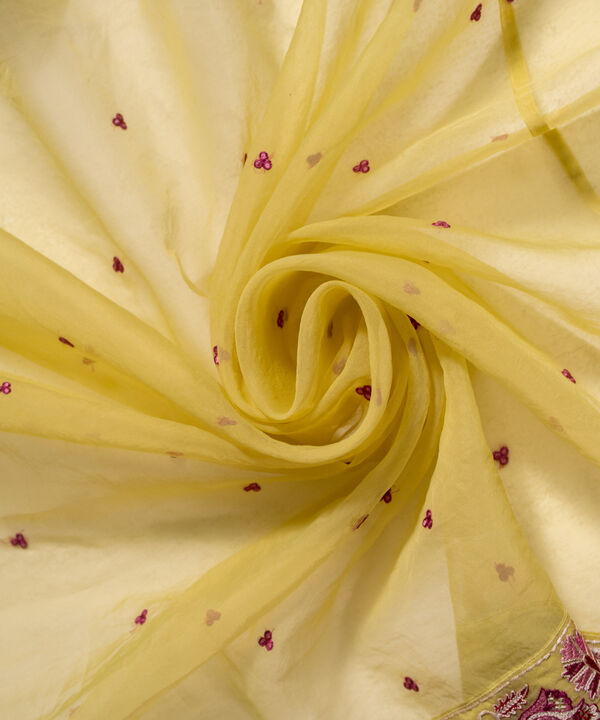 Embroidered Organza Dupatta