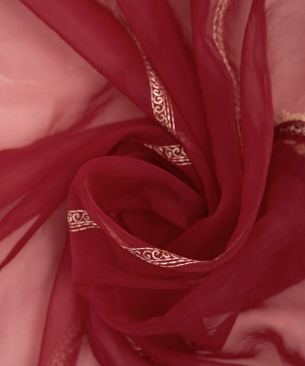 Embroidered Organza Dupatta