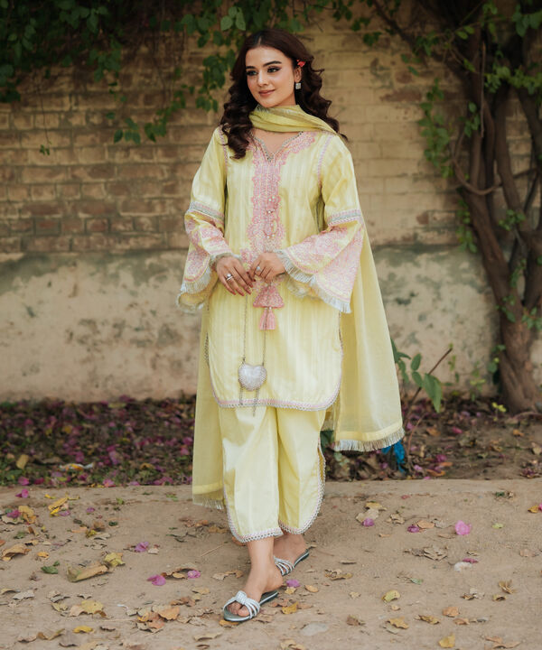 3 Piece - Embroidered Leno Kara Suit