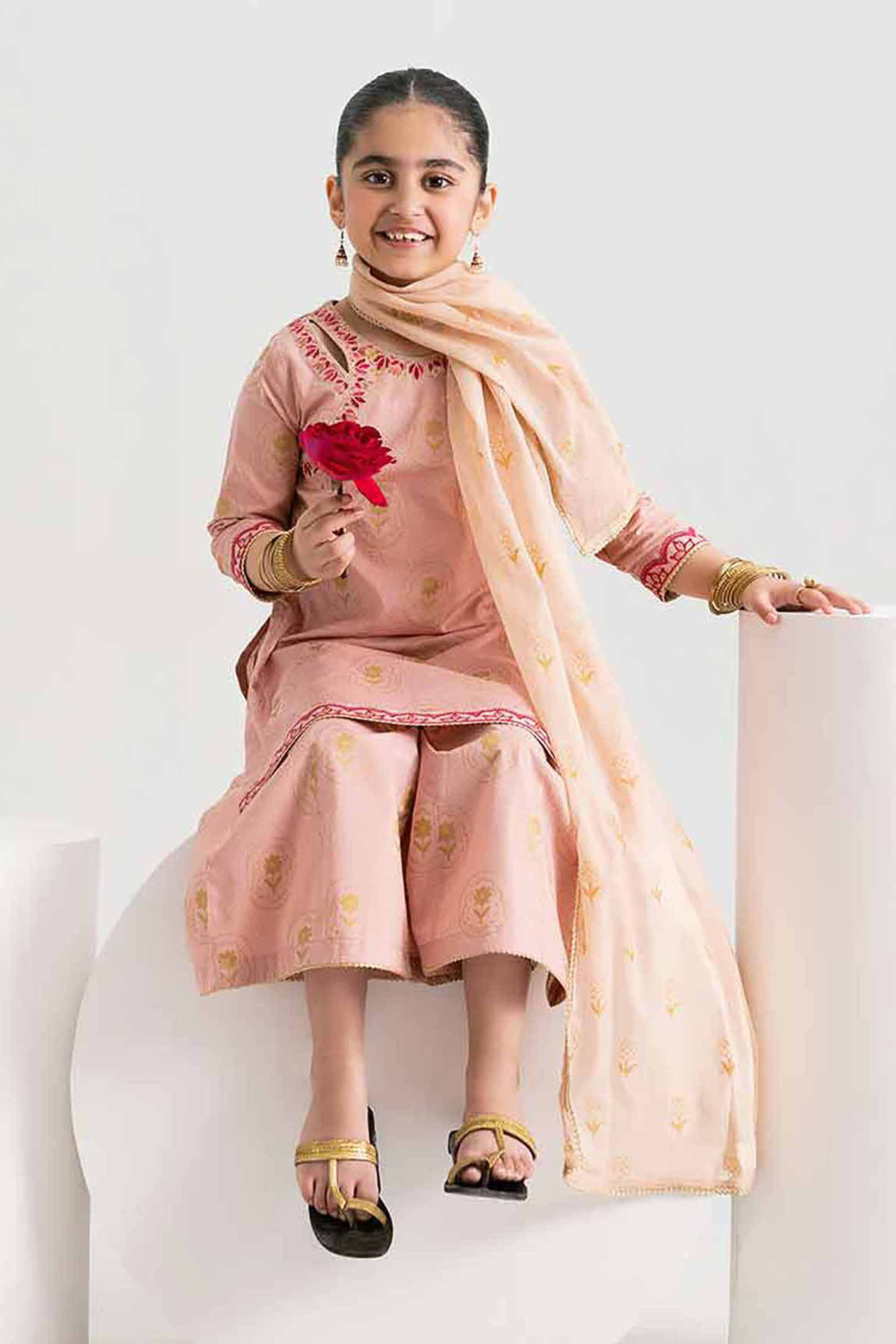 3 Piece - Printed Embroidered Suit - PMD25-05 D