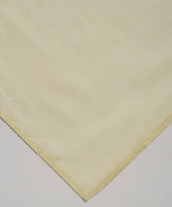 Textured Voile Dupatta