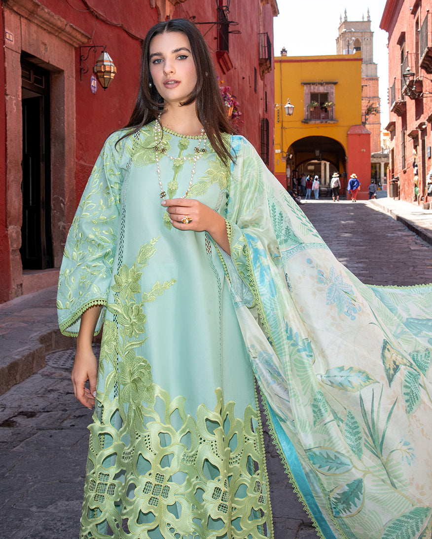 Paloma