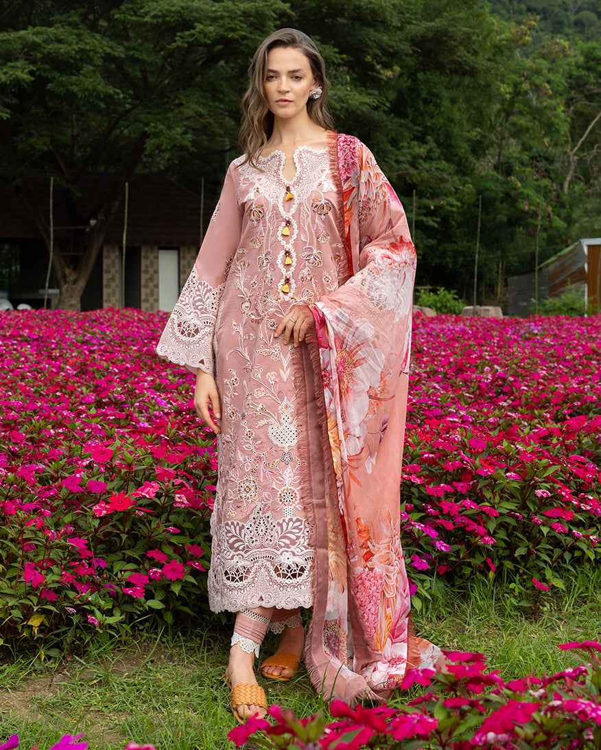 Peach Blossom