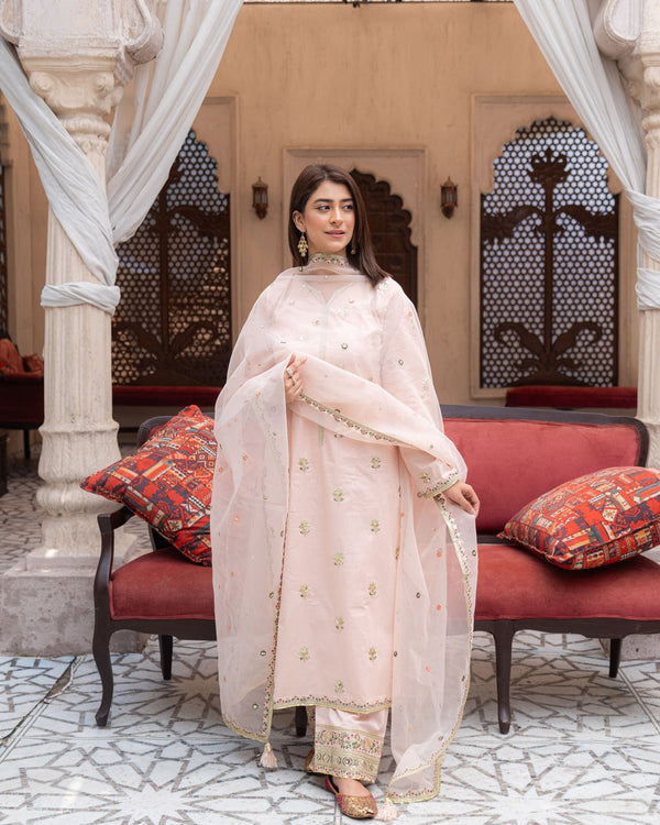 Pink Mist Powder Pink Suit | Floral Sequin & Organza Dupatta Dress