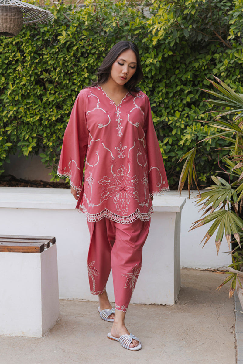 https://cdn.shopify.com/s/files/1/0904/3817/2979/files/Powder_Rose_2.jpg?v=1772688938