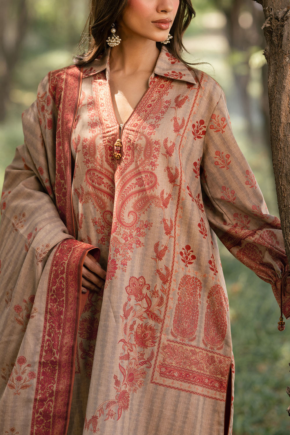 3 Piece Printed Pashmina Suit