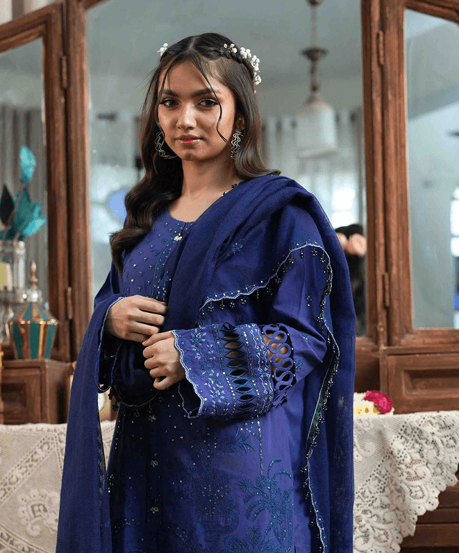 Morni Unstitched Embroidered Suit (3-Piece)