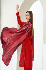 Design 10 - Winter Pret 25 Shirt & Trouser