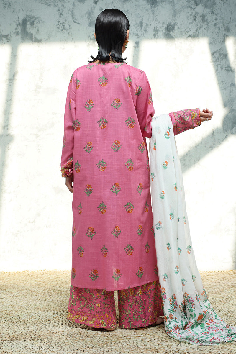 Petal Haze Printed Set