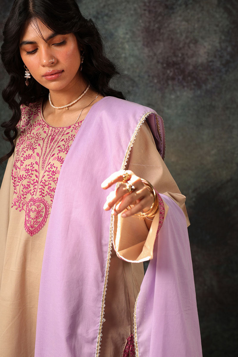 Ganga Jamni Dupatta