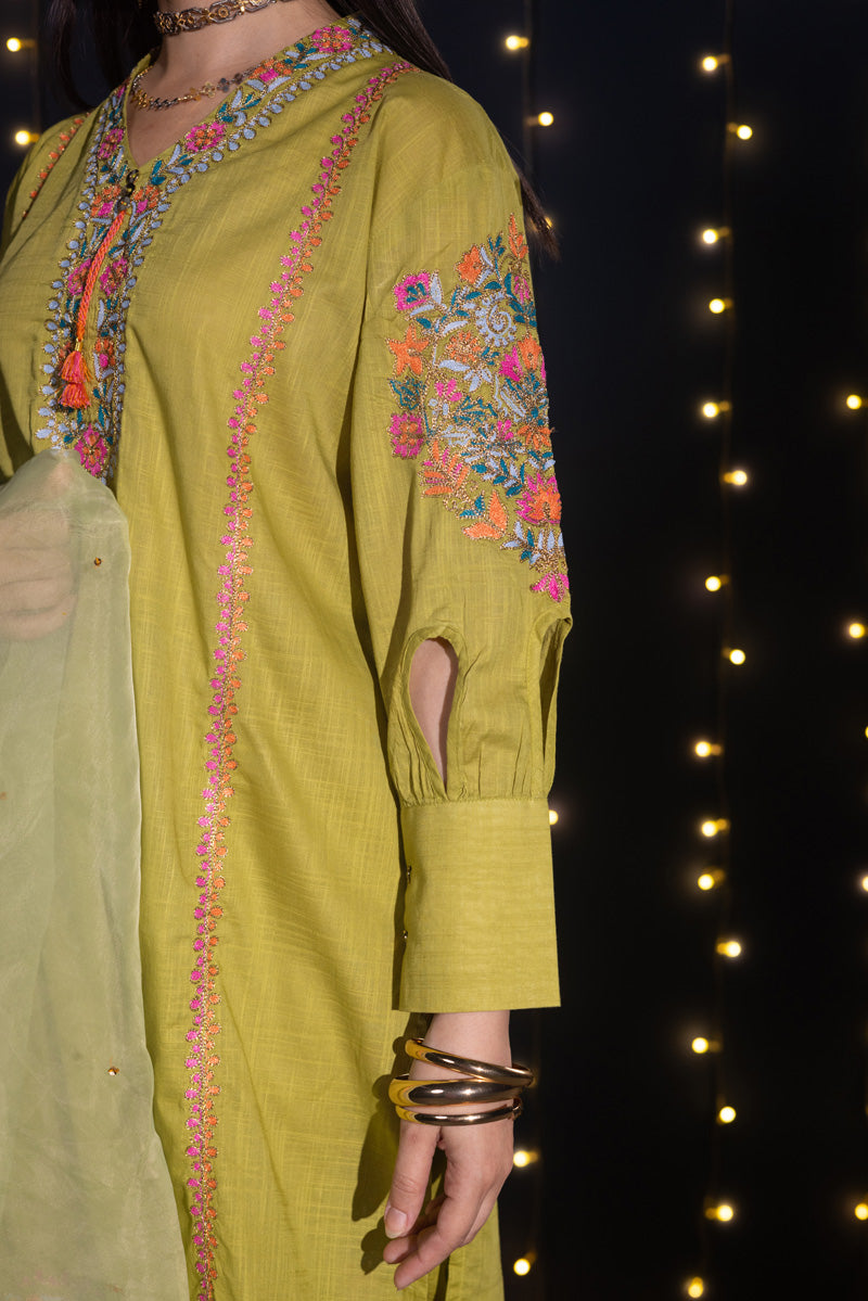 Embroidered Mehr Set