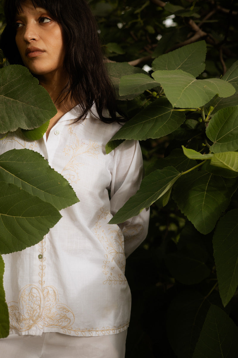 Zouk Button Down